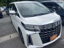2019 Toyota Alphard G