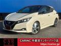 2020 Nissan Leaf