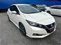 2021 Nissan Leaf