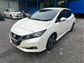 2021 Nissan Leaf