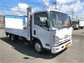 2010 Isuzu Elf Truck