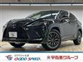 2020 Lexus RX