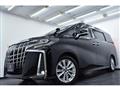 2019 Toyota Alphard G