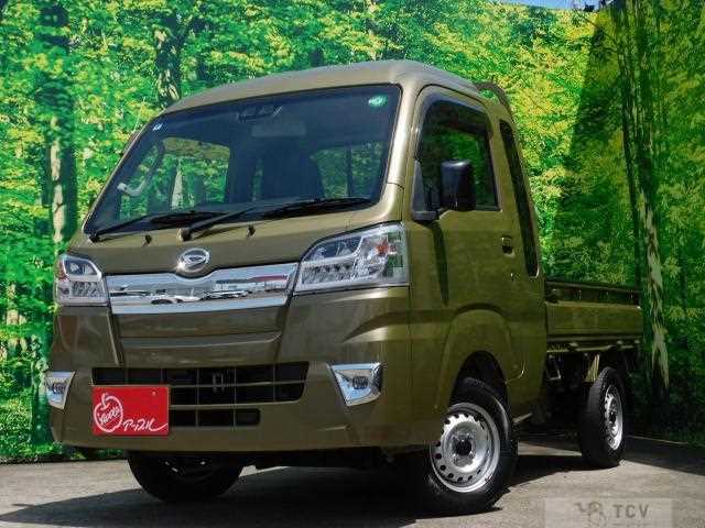 2020 Daihatsu Hijet Truck