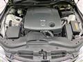 2013 Toyota Mark X