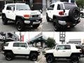 2011 Toyota FJ Cruiser