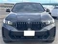 2024 BMW X6