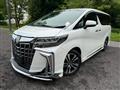 2020 Toyota Alphard G