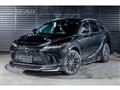 2025 Lexus RX