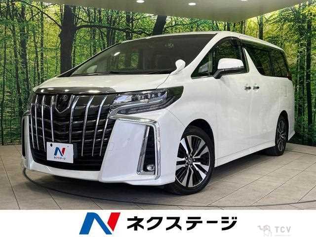 2019 Toyota Alphard G