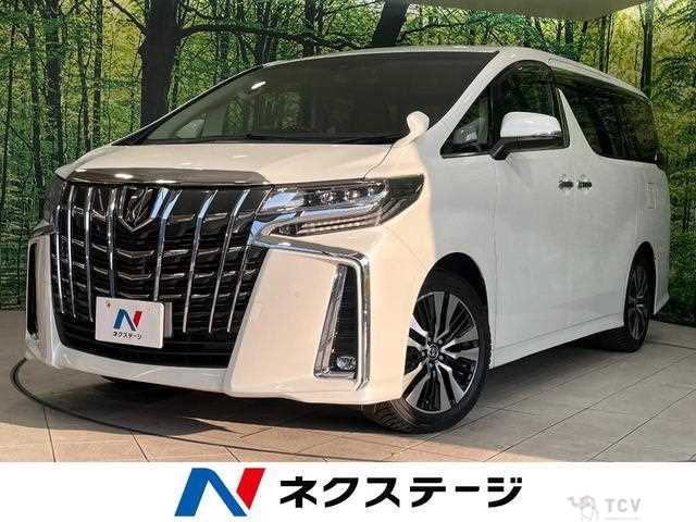 2019 Toyota Alphard G