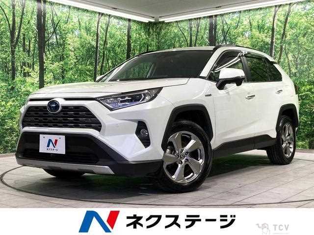 2020 Toyota RAV4