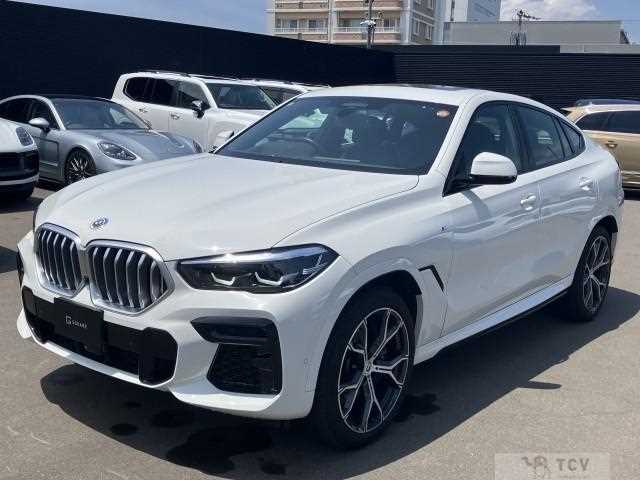 2022 BMW X6