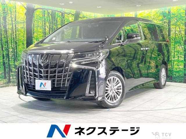 2019 Toyota Alphard G