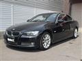 2010 BMW 3 Series