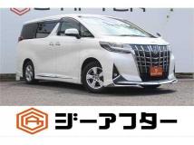 2019 Toyota Alphard G