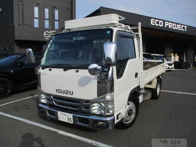 2018 Isuzu Elf Truck