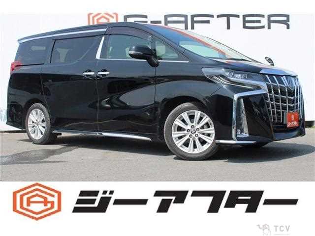 2020 Toyota Alphard G
