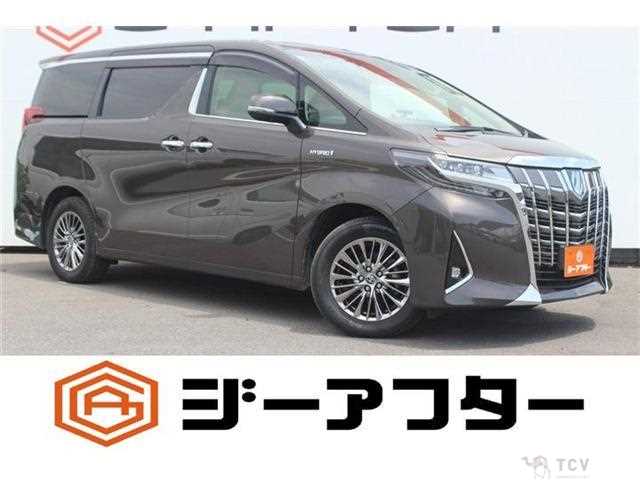 2019 Toyota Alphard Hybrid