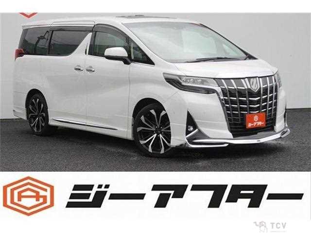 2020 Toyota Alphard G