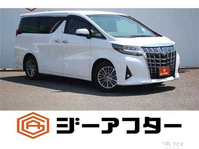 2019 Toyota Alphard G