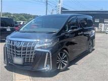 2019 Toyota Alphard G