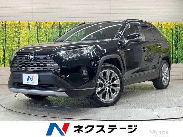 2020 Toyota RAV4