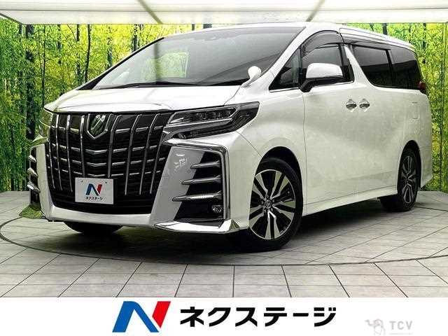 2019 Toyota Alphard G