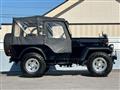 1996 Mitsubishi Jeep
