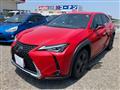 2020 Lexus Other