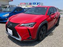 2020 Lexus Other