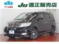 2013 Honda Elysion