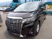 2019 Toyota Alphard G