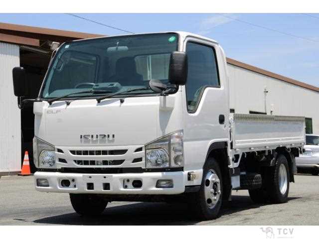 2019 Isuzu Elf Truck
