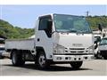 2019 Isuzu Elf Truck