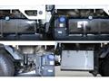 2019 Isuzu Elf Truck