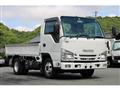 2020 Isuzu Elf Truck