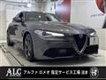 2020 Alfa Romeo Alfa Romeo Others