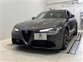 2020 Alfa Romeo Alfa Romeo Others