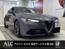 2020 Alfa Romeo Alfa Romeo Others
