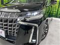 2019 Toyota Alphard G