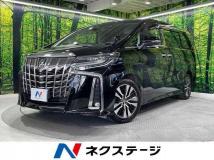 2019 Toyota Alphard G