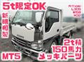 2018 Isuzu Elf Truck