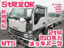 2018 Isuzu Elf Truck