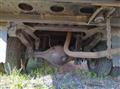 1996 Isuzu Elf Truck