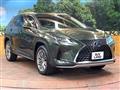 2021 Lexus RX