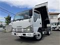 2011 Isuzu Elf Truck