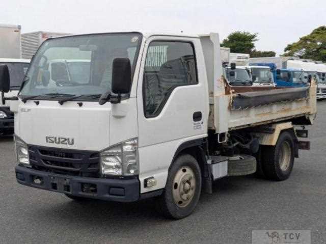 2017 Isuzu Elf Truck