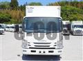 2020 Isuzu Elf Truck