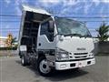 2020 Isuzu Elf Truck